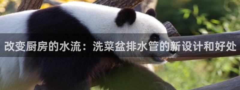 威九国际取款不到账