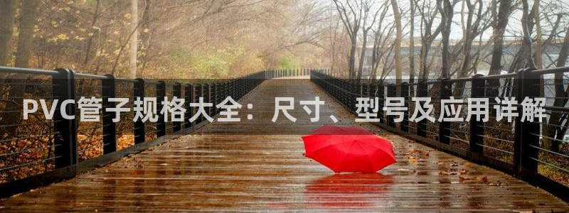 威九国际里的长头发帅哥名字