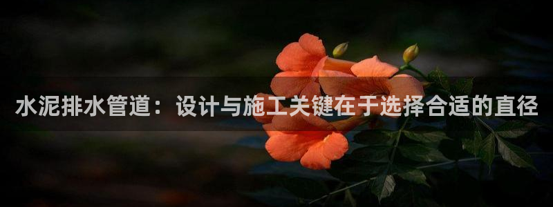 威九国际可以提现吗