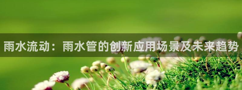 威九国际官网版下载