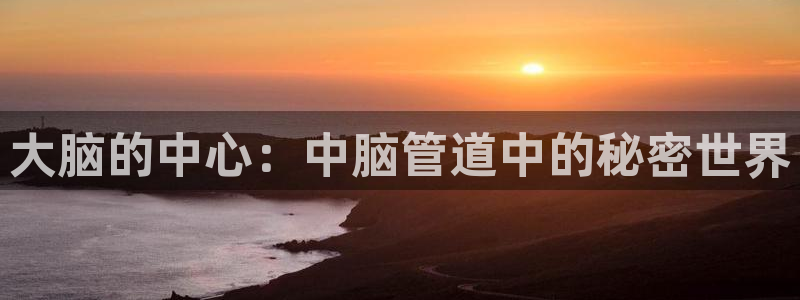 威九国际客服电话号码