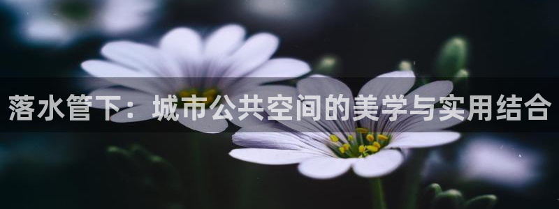 威九国际78mob游戏特色