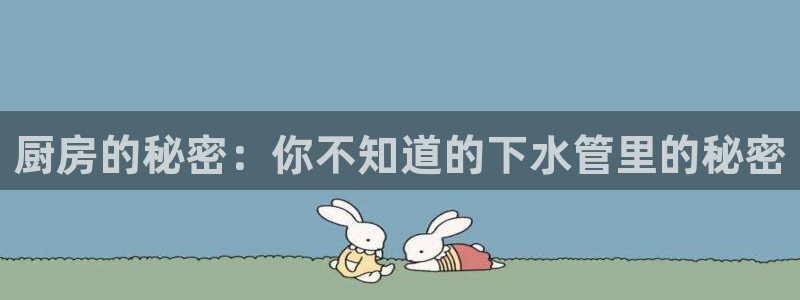 威九国际ppt免费下载