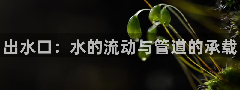 威九国际78mapp官网版下载