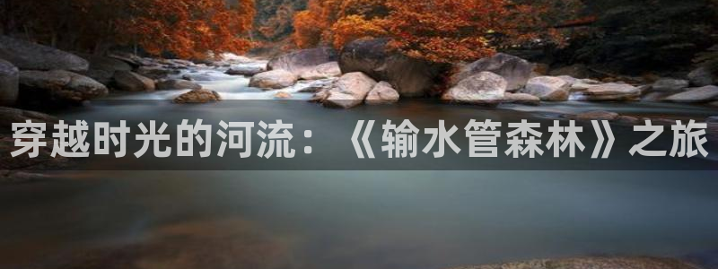 威九国际网站经常打不开