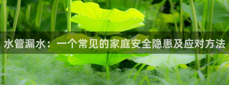 78mapp威九国际免费官方版下载