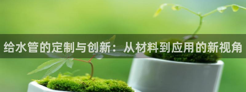 威九国际66m66成长模式免费