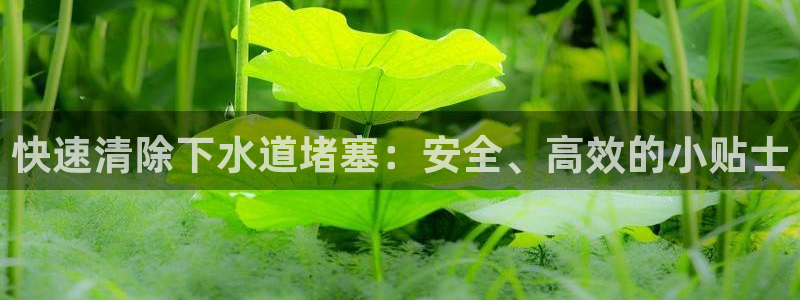 66m威九国际成长模式