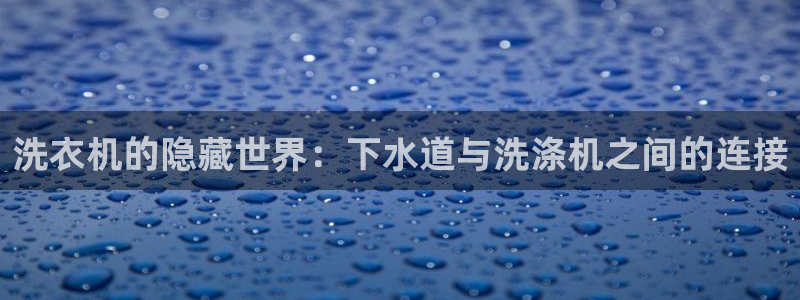 威九国际78m九妹