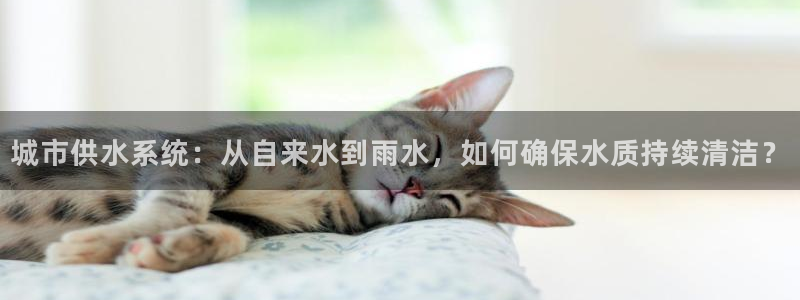 威九国际和之前