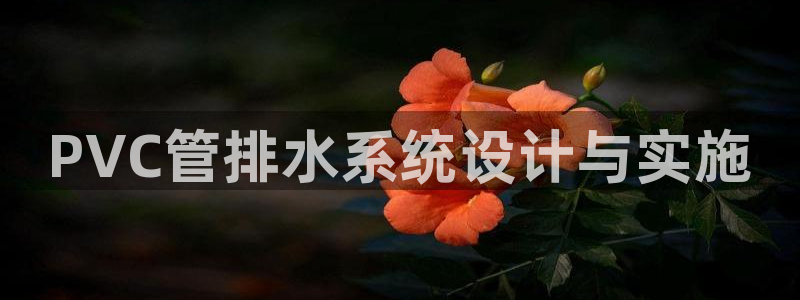 威九国际app大全下载安装