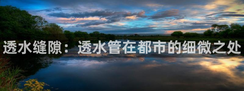 威九国际精免费下载