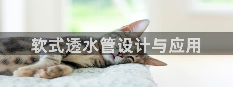 威九国际网站入口官网免费下载