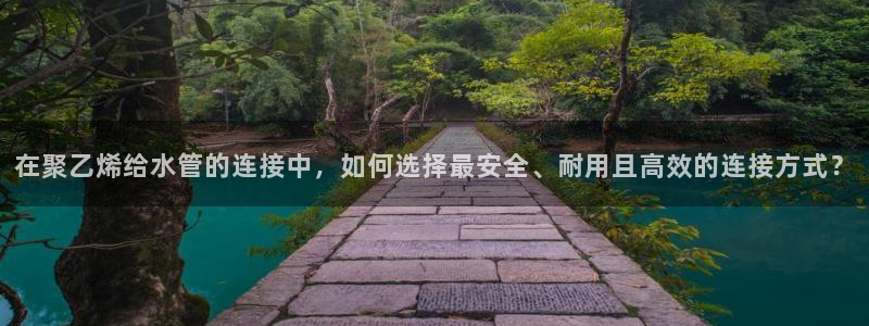 威九国际女主名字