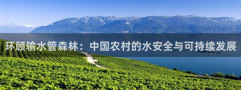 78mapp威九国际一