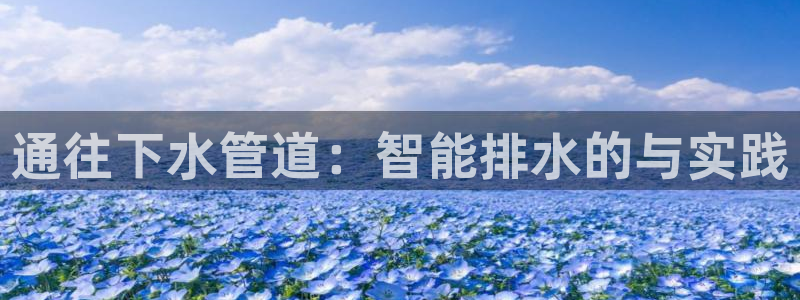 威九国际v96 bet会黑吗