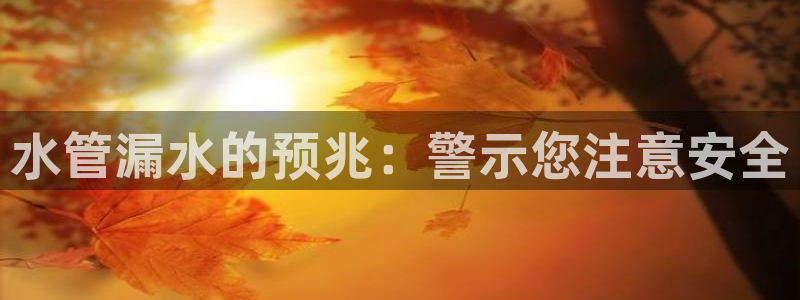 威九国际78mb官网