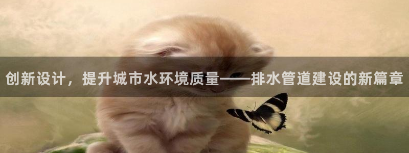 威九国际网站传媒招聘