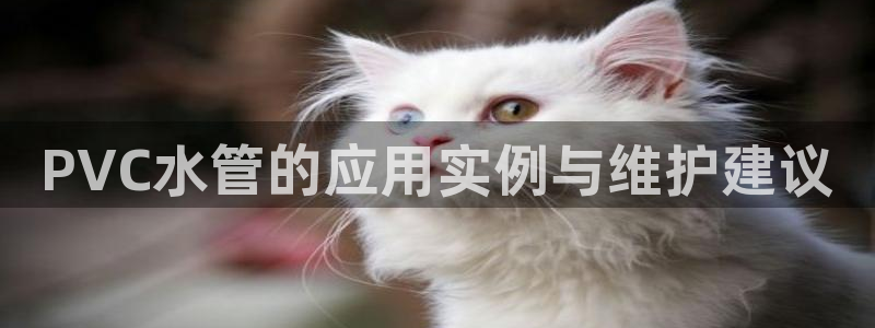 威九国际78mb官网