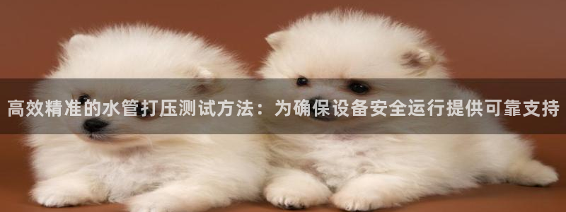 威九国际网站游戏