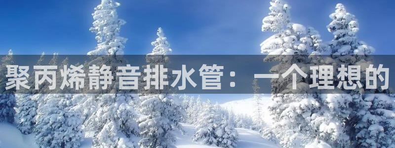 威九国际网站怎么样知乎