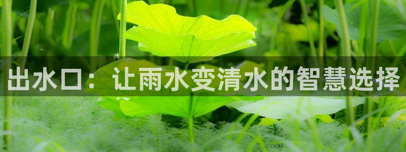 威九国际提款不出来