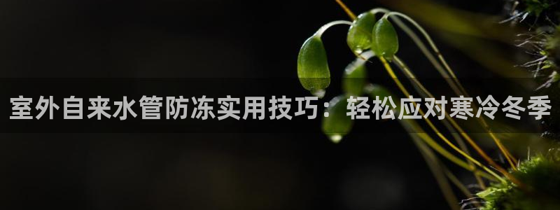 威九国际客服电话号码是多少