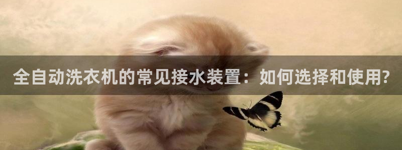 威九国际客服电话号码