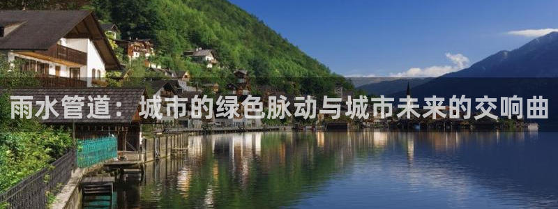 威九国际网站传媒