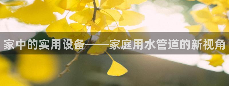 威九国际78mb官网版