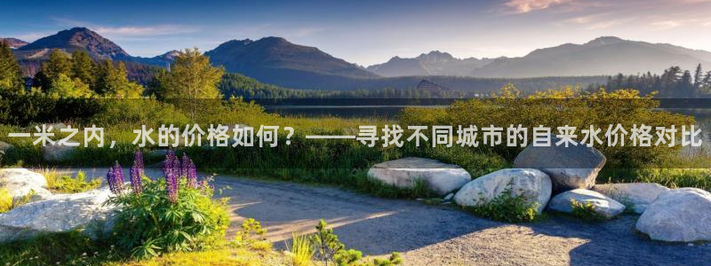 威九国际客服电话号码查询