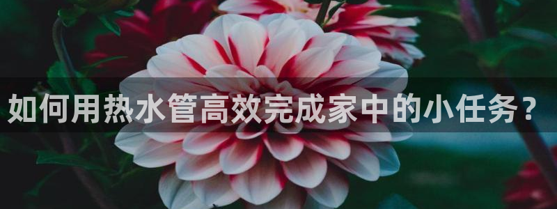 威九国际精修! #手机使用技巧