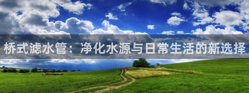 保定威九网络科技有限公司是干嘛的