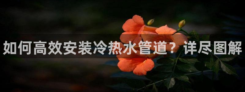 威九国际真人游戏