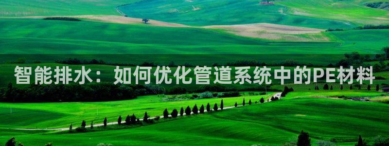 威九国际国精彩片段