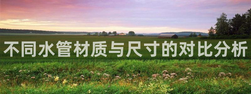 威九国际网站进入客服中心了吗