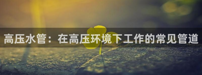 威九国际游戏app网址