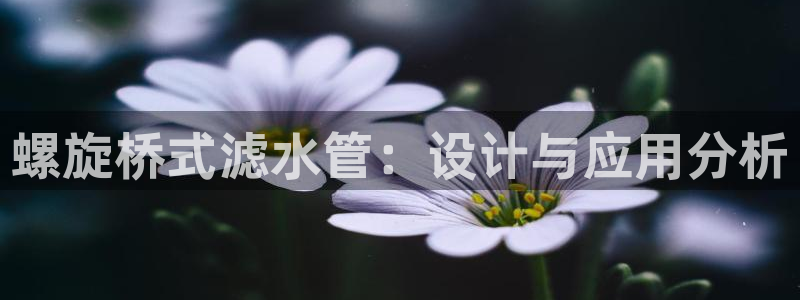 威九国际精选酒店地址