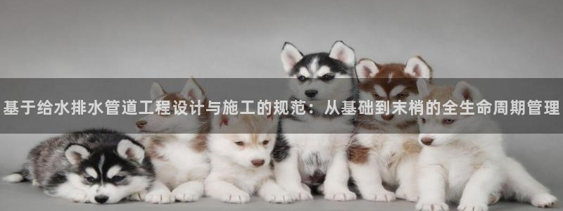 威九国际网站入口rdquo