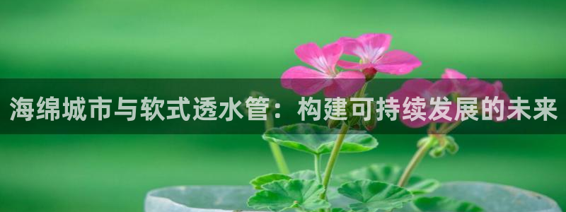 威九国际66m官网版