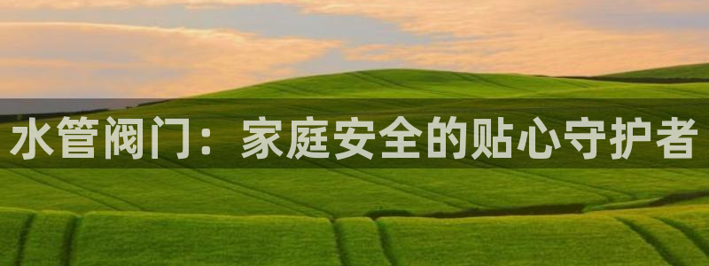 威九国际66视频