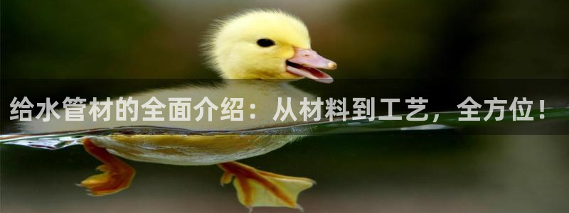 威九国际和之前