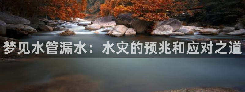 威九国际app无法登陆怎么回事