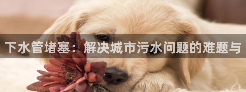 威九国际坑人的嘛