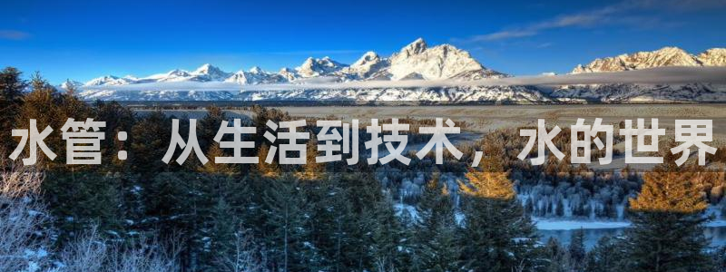 78mapp威九国际一