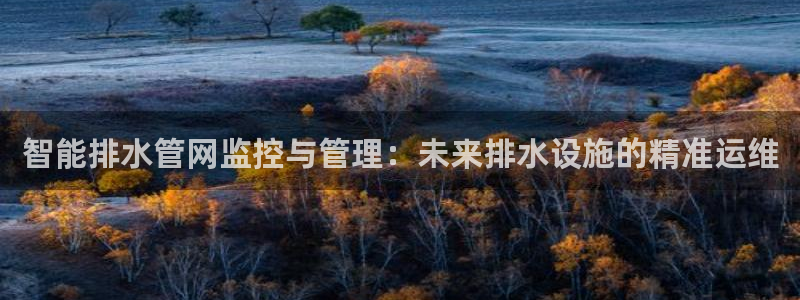 威九国际成长模式